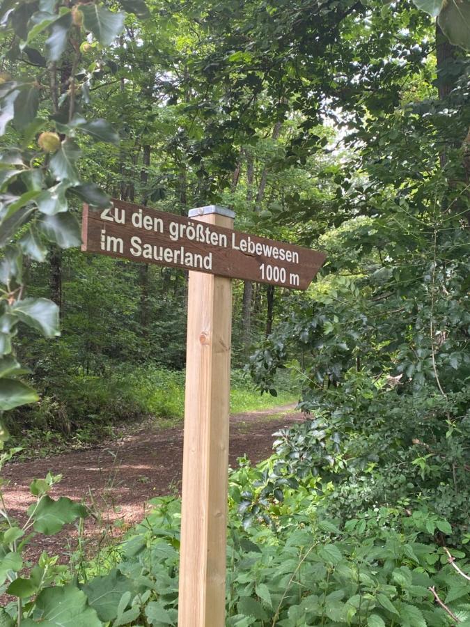 Ferienwohnung Augenblick Medebach Buitenkant foto