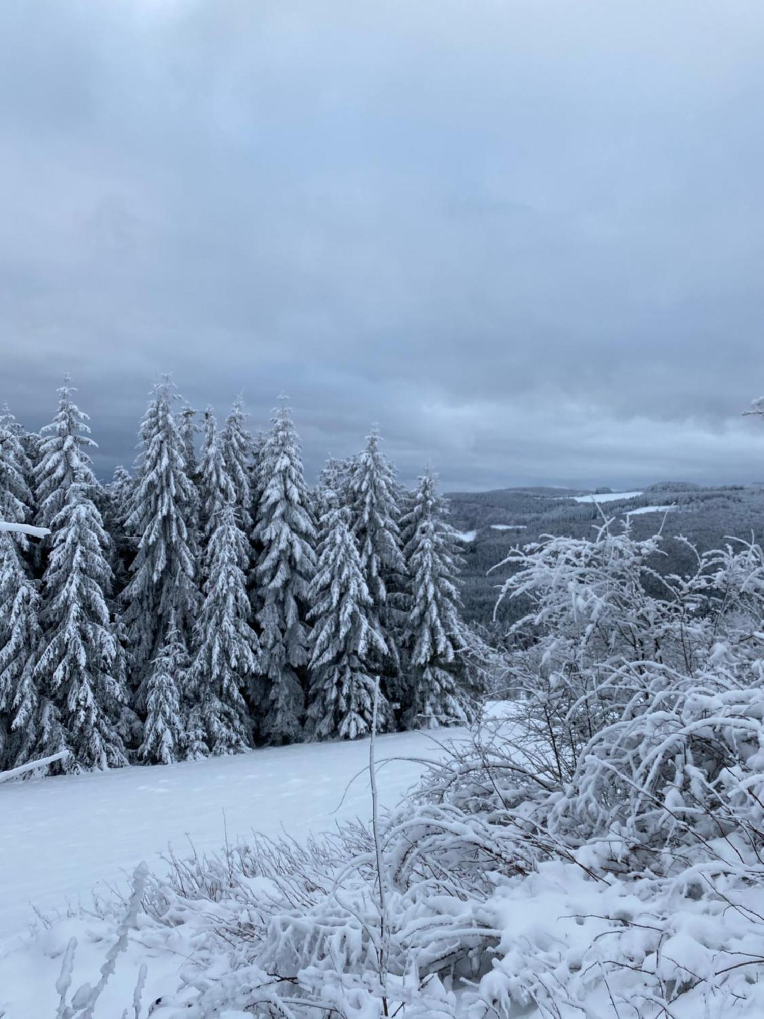 Ferienwohnung Augenblick Medebach Buitenkant foto