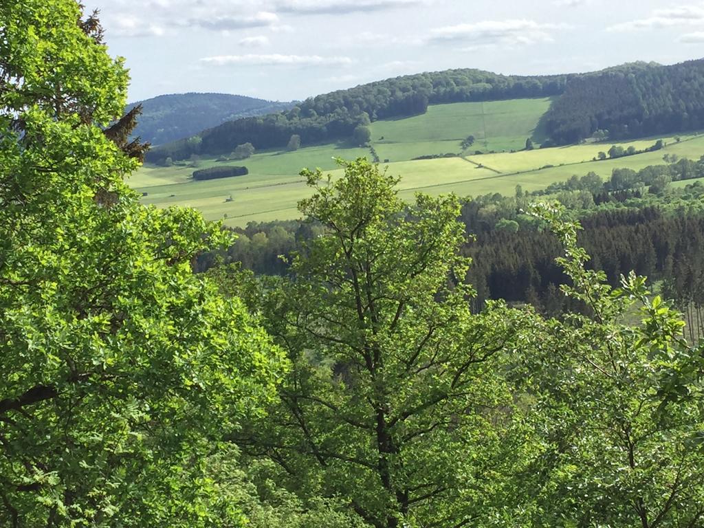 Ferienwohnung Augenblick Medebach Buitenkant foto